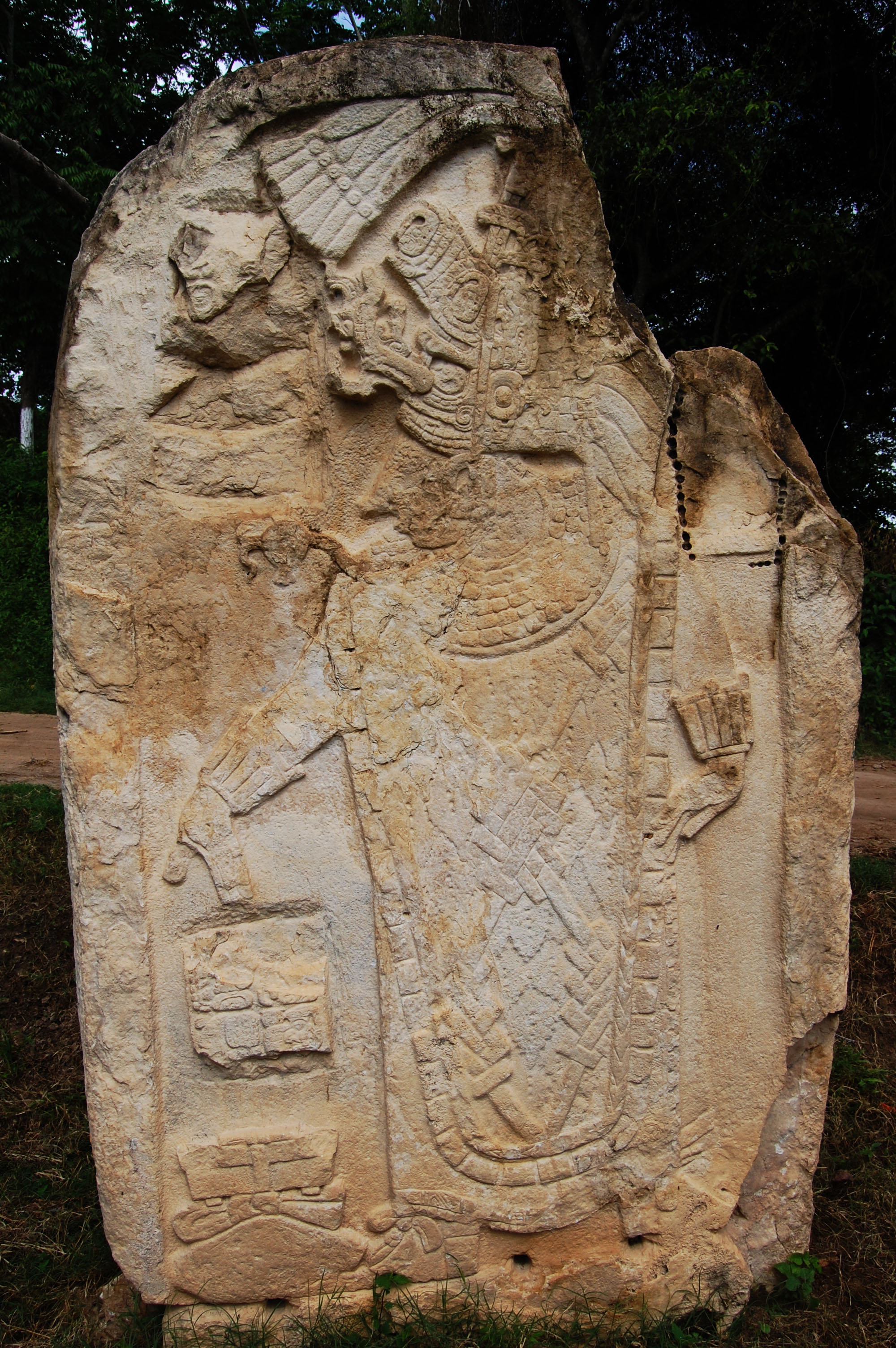 stela 9
